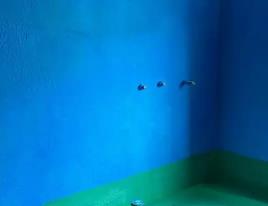 海棠卫生间测漏水多少钱