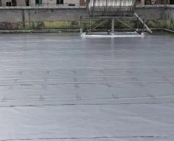 海棠测漏水电话